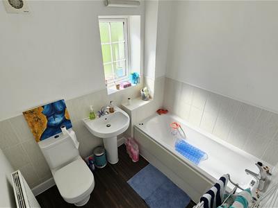 Picture 23